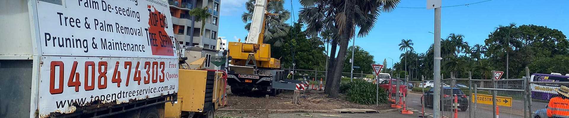 Tree Removal Services Larrakeyah