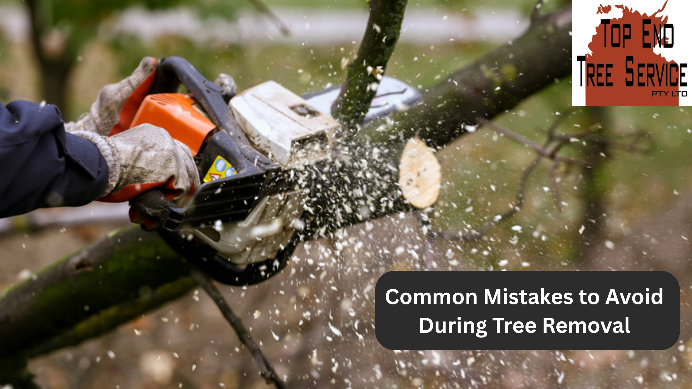 Common Mistakes to Avoid During Tree Removal