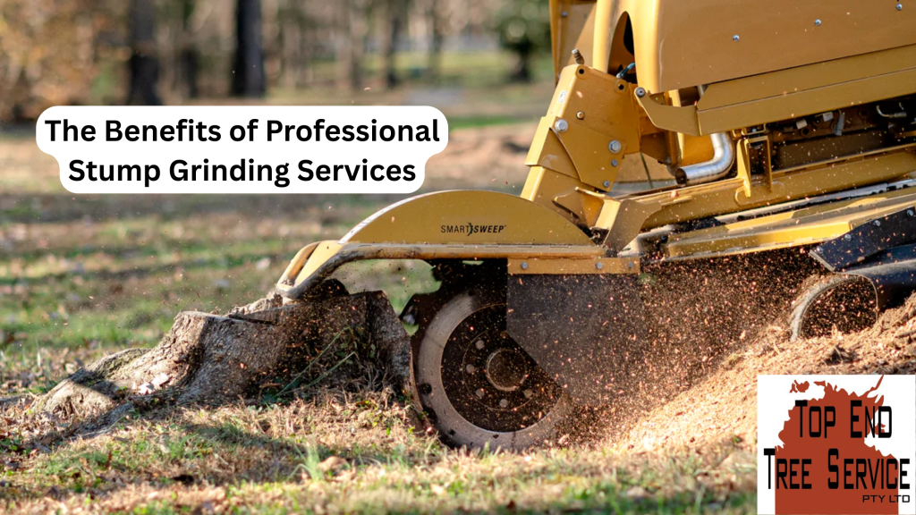 The Benefits of Professional Stump Grinding Services