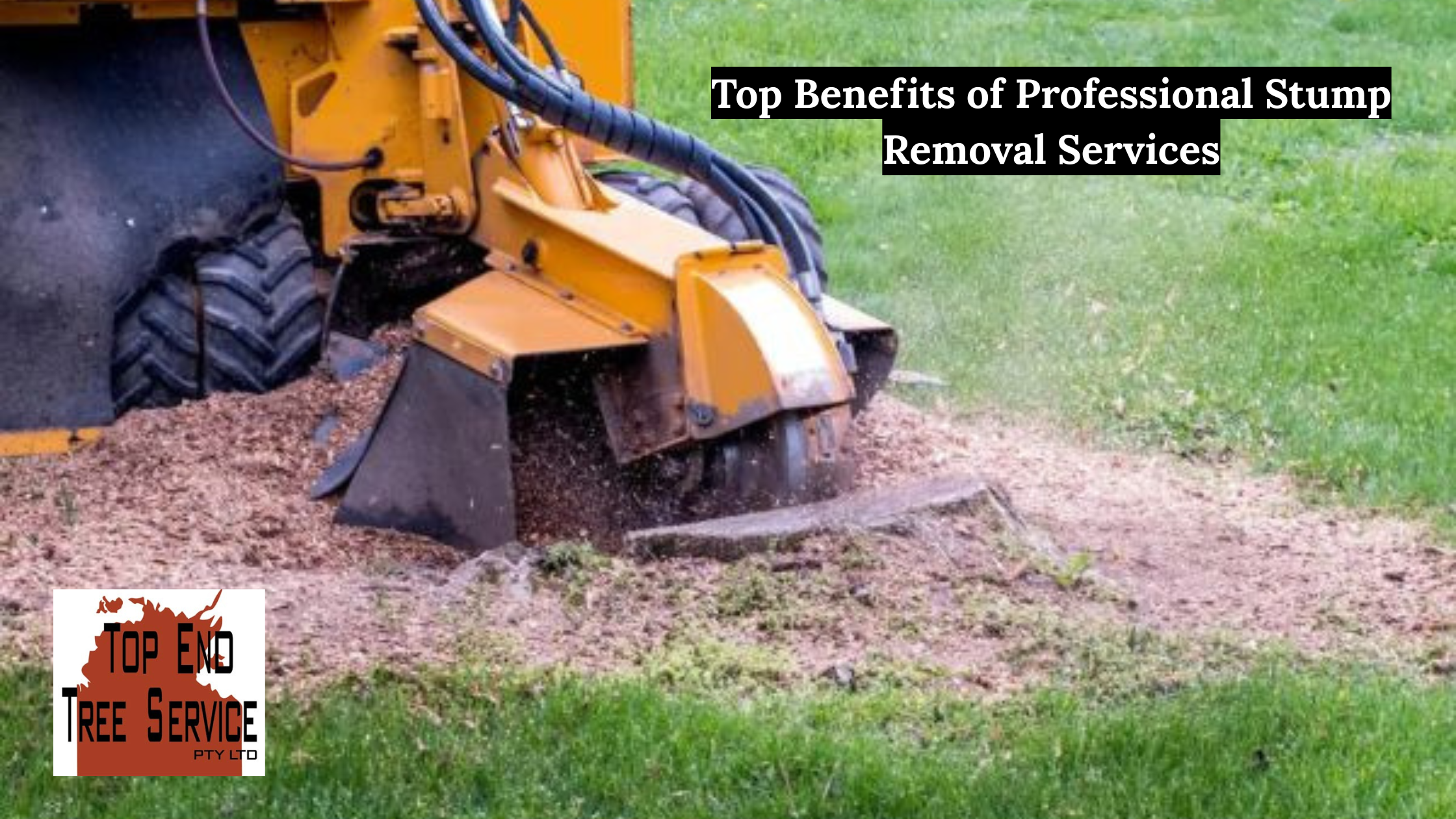 stump removal darwin